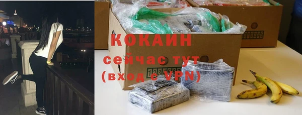 стафф Вяземский
