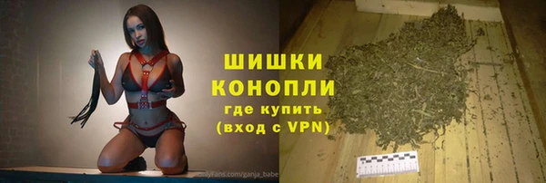 гидра Абаза
